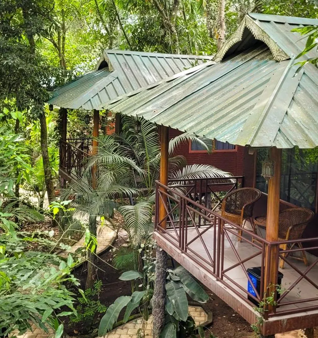 Monsoon Retreats Ecostay- Treehouse Thekkady Nocleg ze śniadaniem