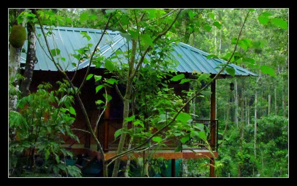 Monsoon Retreats Ecostay- Treehouse Thekkady Nocleg ze śniadaniem